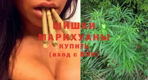 шишки Карпинск