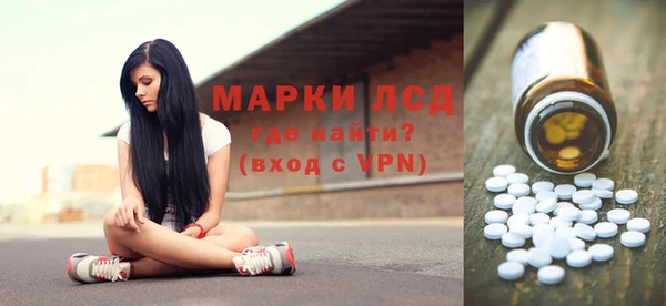 шишки Карпинск