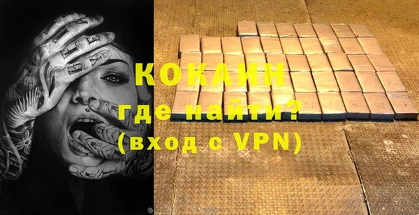 шишки Карпинск