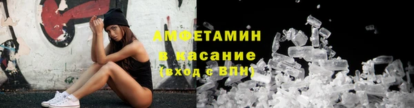 шишки Карпинск