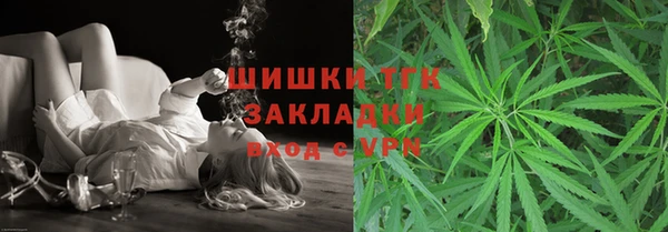 шишки Карпинск