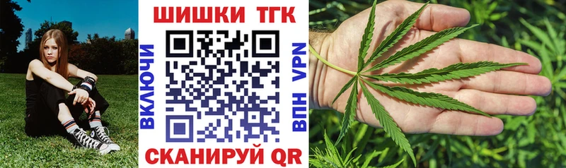 Купить закладки  Шацк  Каннабис семена 